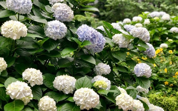 6月がスタートしました！